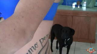 Потпиша Бебе Својата Клео сака да даде подадена рака кога голем дик потреби за ослободување на стрес, па дури и повеќе, ако таа може да се загрее cum сите над неа цицки! Толку убаво! Целосна Видео &amp;amp; Сите Свои Клео @ ItsCleoLive.com!